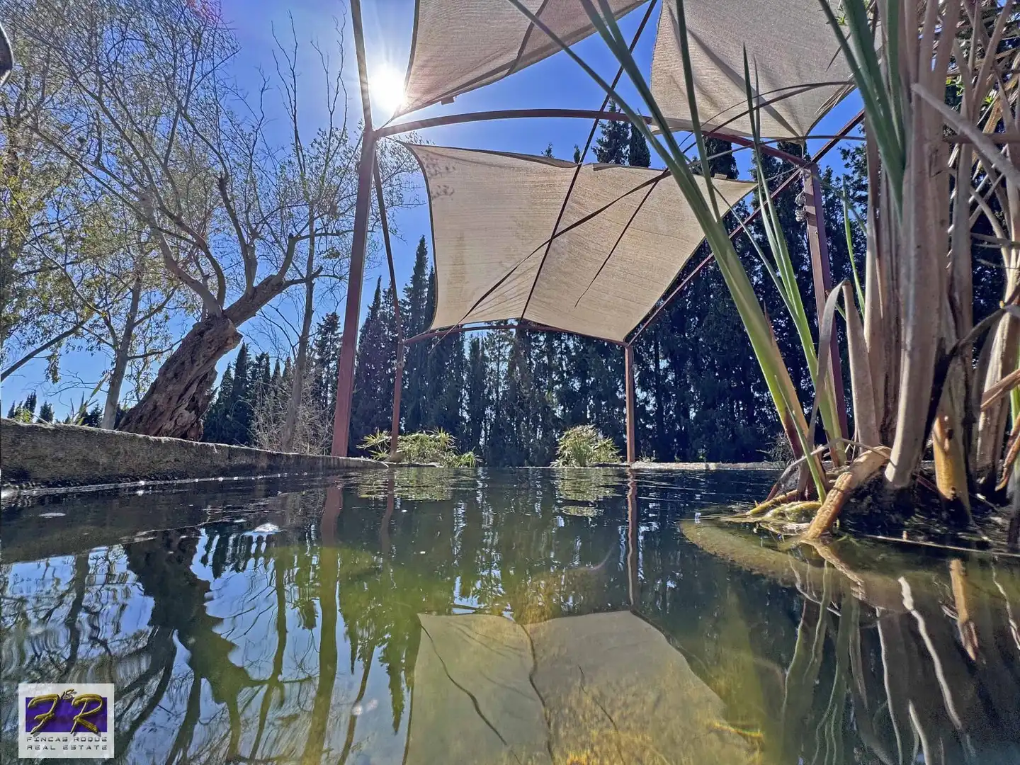 Piscina de Finca rústica en venta en Búger con Aire acondicionado, Terraza y Trastero