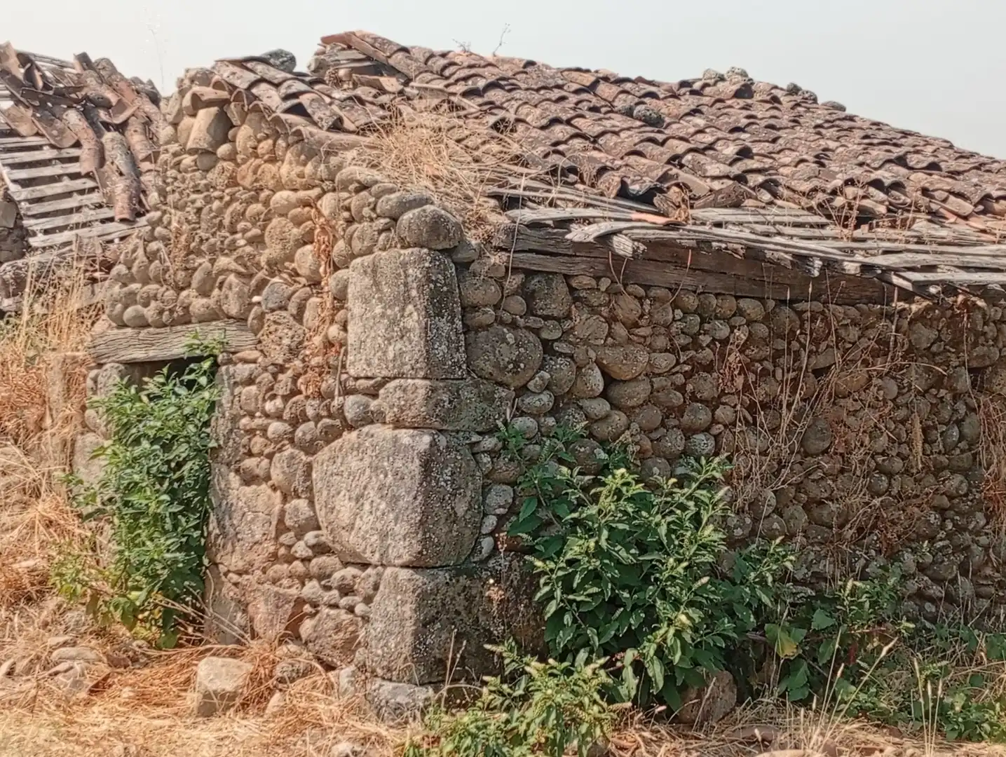 Terreni e lotti in vendita a Villanueva de la Vera, imagen 41