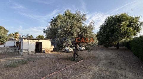 Foto 4 de Finca rústica en venda a Calle Sierra Morena, Pedanías Norte, Utrera