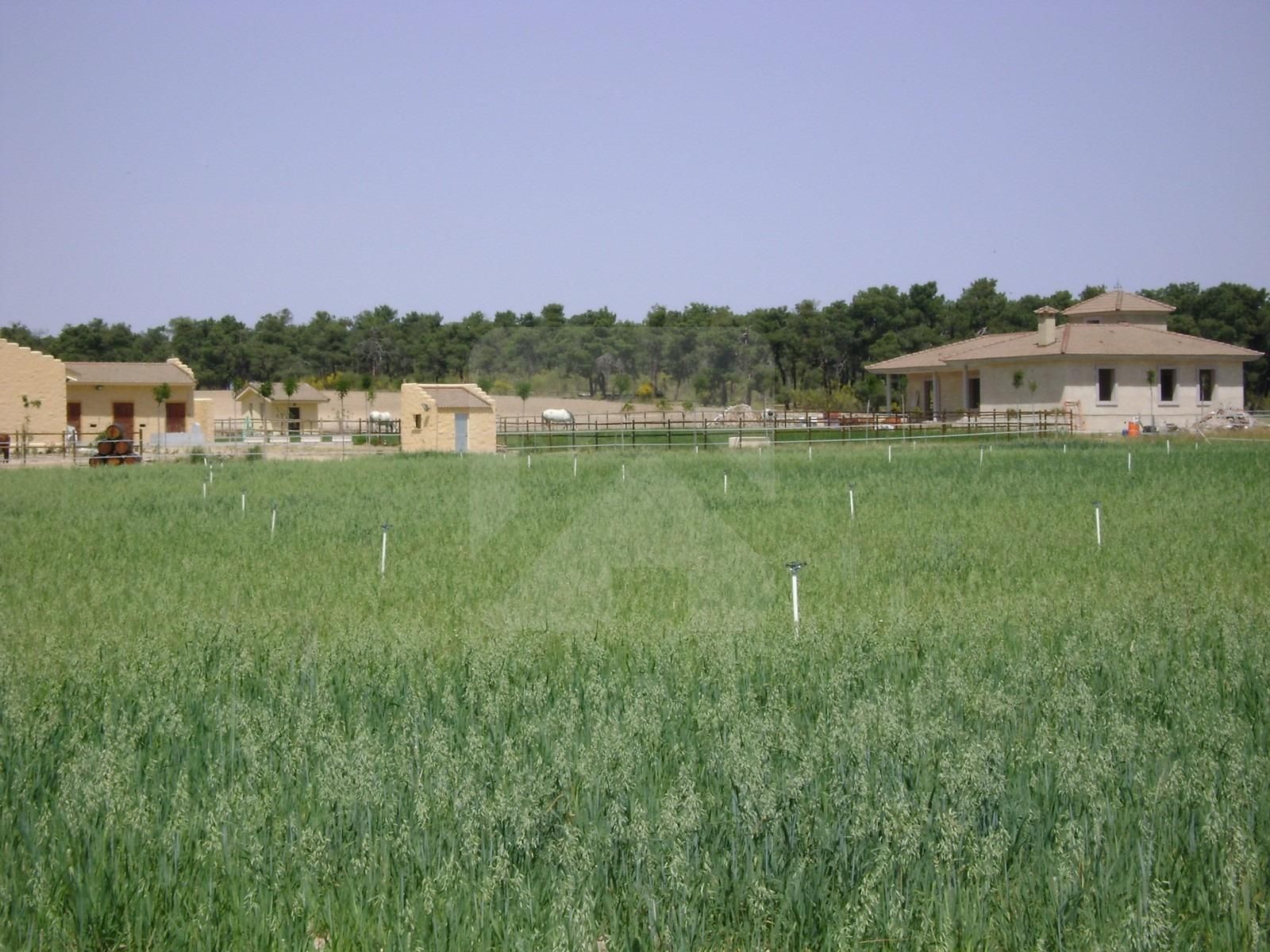 Finca rústica en venda a  EXTRARRADIO, Palacios de Goda