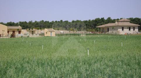 Foto 2 de Finca rústica en venta en  Extrarradio, Palacios de Goda, Ávila