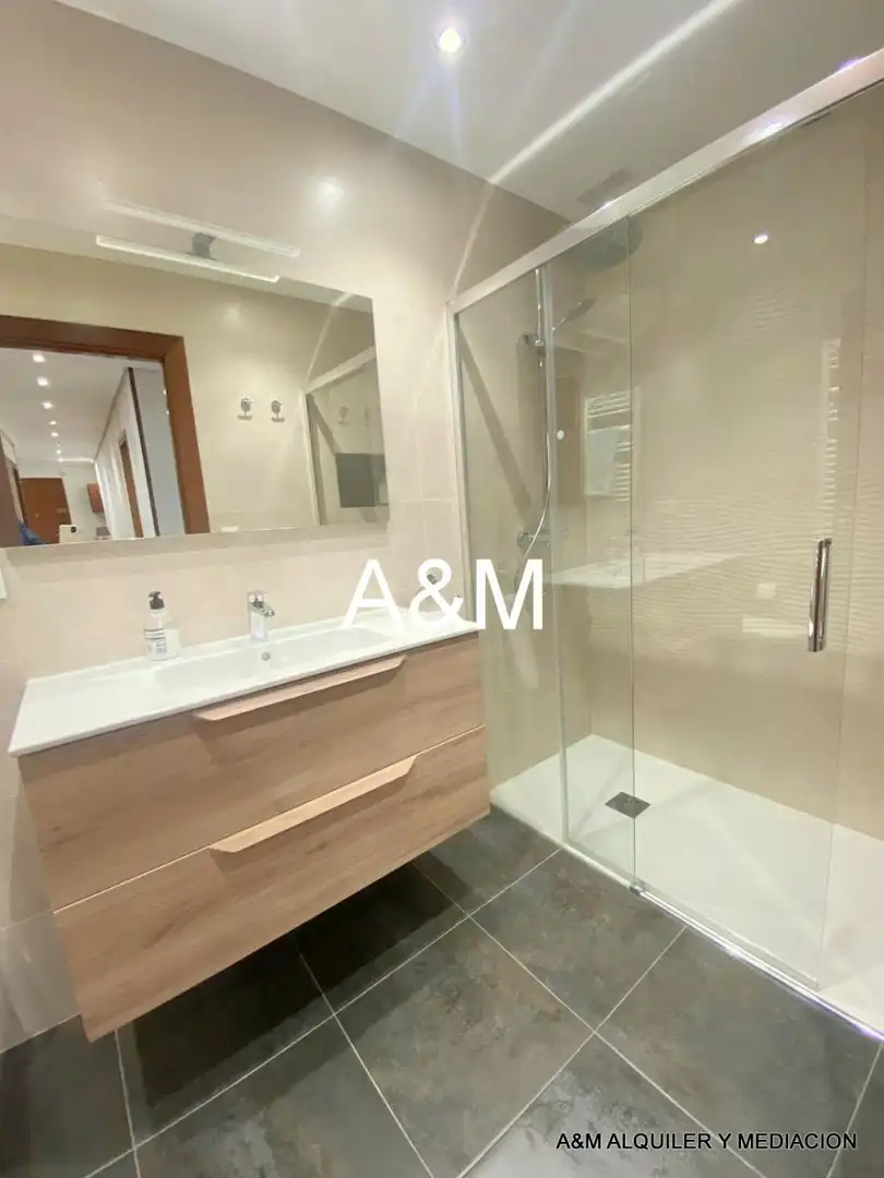 Bathroom of Flat for rent in Vitoria - Gasteiz  with Heating, Parquet flooring and Terrace