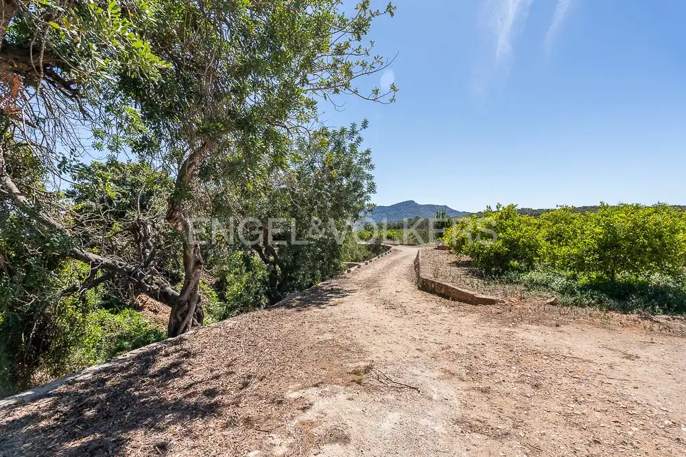 Terrenys i solars en venda a Palma de Gandia, imagen 22