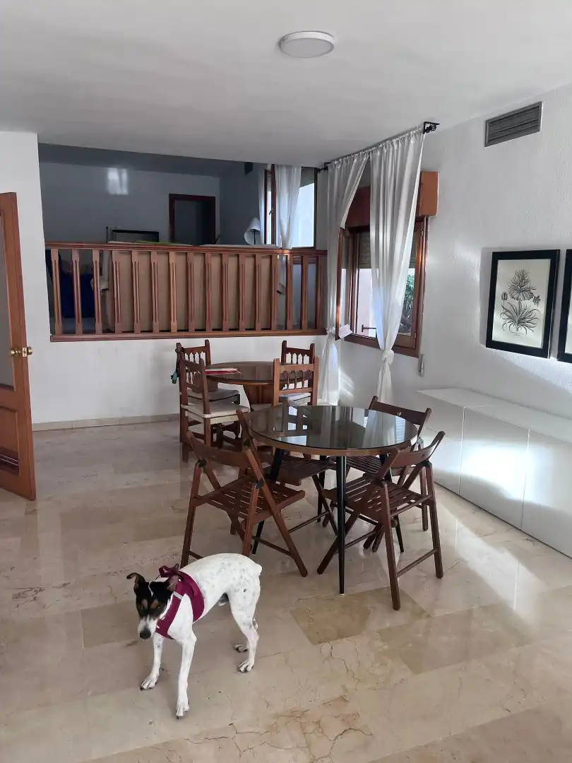Flat with terrace for sale in Beiro, imagen 20