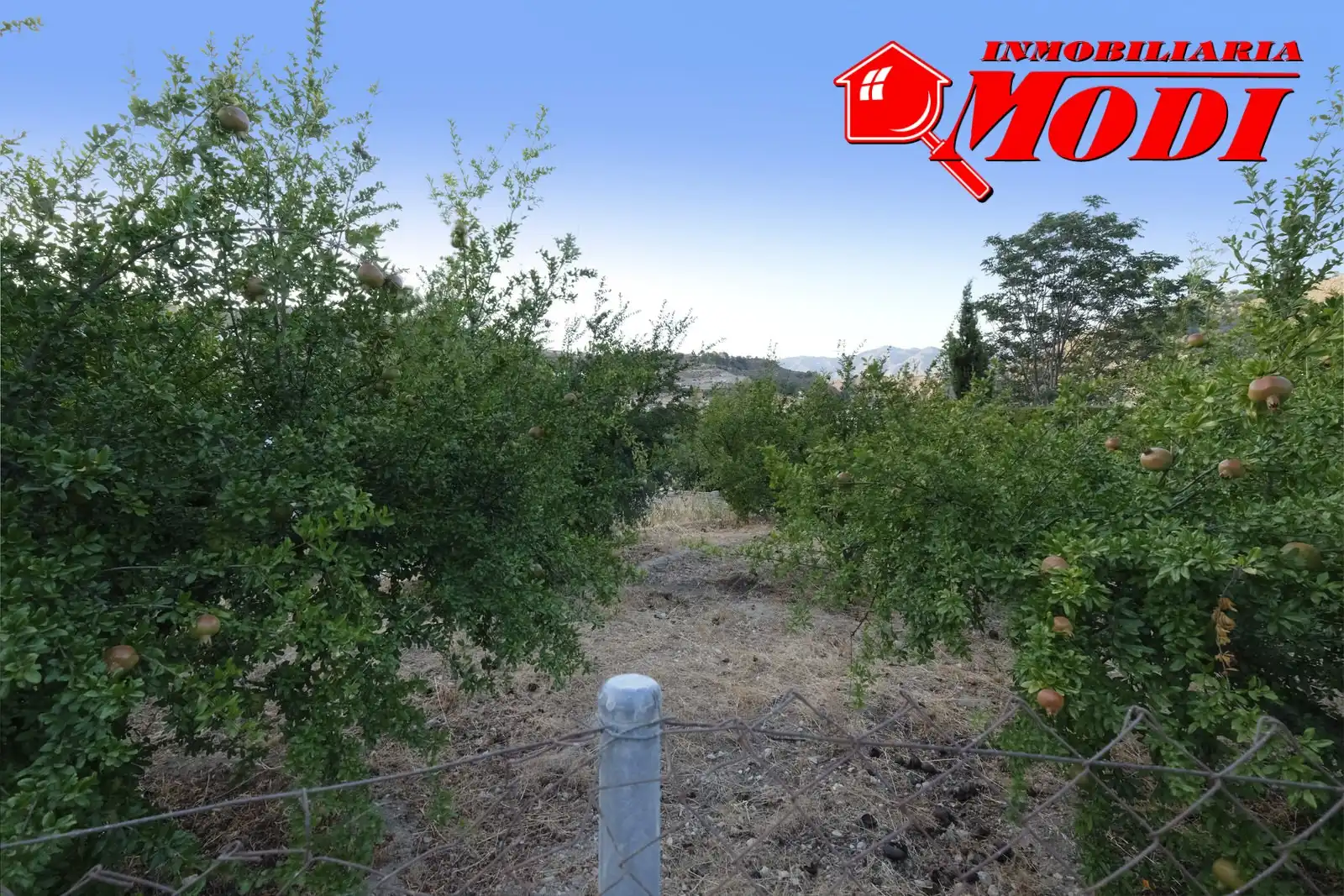 Finca rústica en venta en Villamena con Jardín privado y Terraza