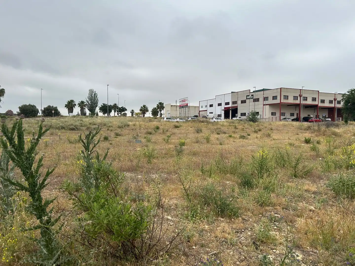 Lands and plots for sale in Mollina