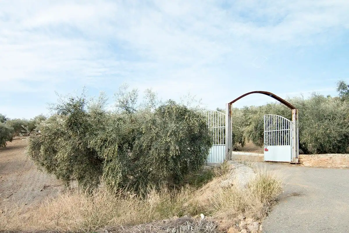 Casa rústica en venda a Loja, imagen 4