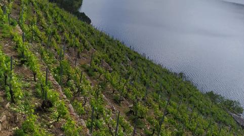 Foto 3 de Finca rústica en venda a O Saviñao , Lugo