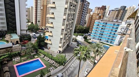 Foto 3 de Estudio en venta en Rincón Alto, Benidorm
