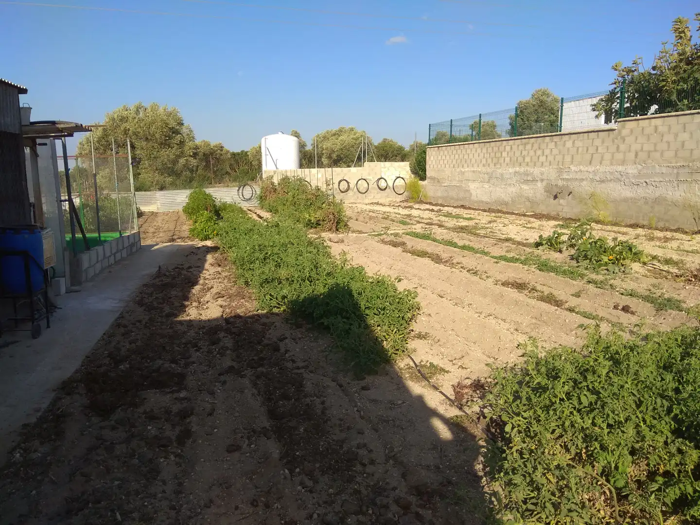 Terrenys i solars en venda a Los Franceses – La Vega, imagen 3
