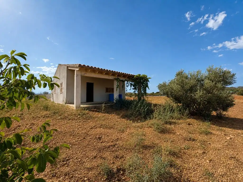 Country homes for sale in Campanet  with Terrace