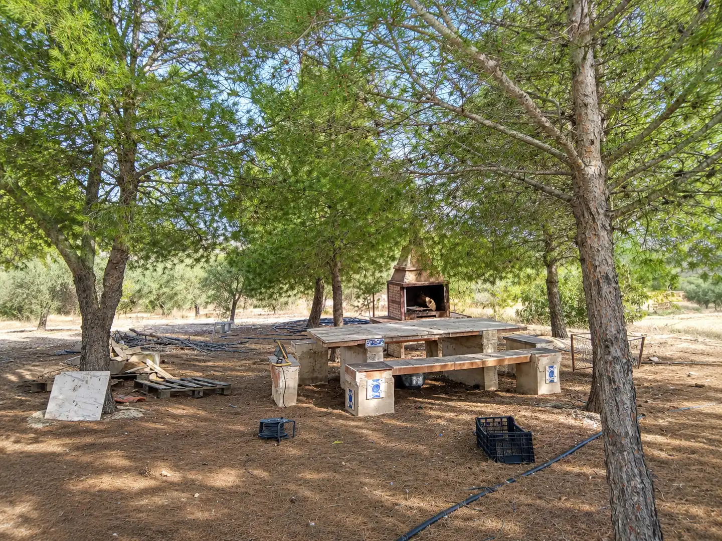 Villa con piscina in vendita a Carretera Elda-Sax, imagen 19
