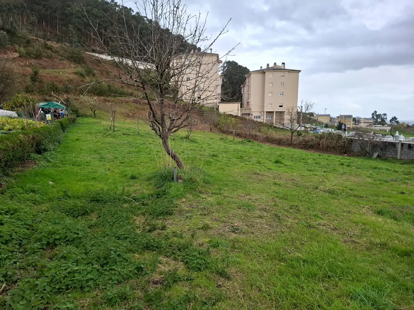 Casa o chalet en venta en Burela con Jardín privado