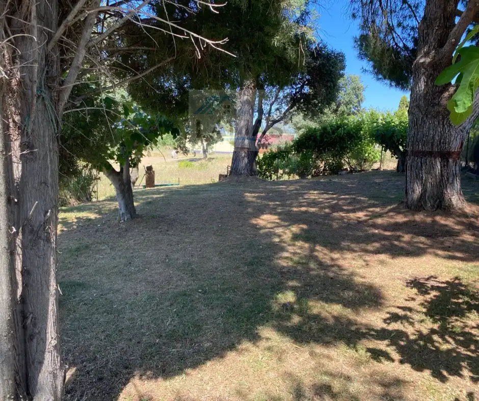 Casa rústica en venda a Diseminado Dehesa los Pinos, imagen 9