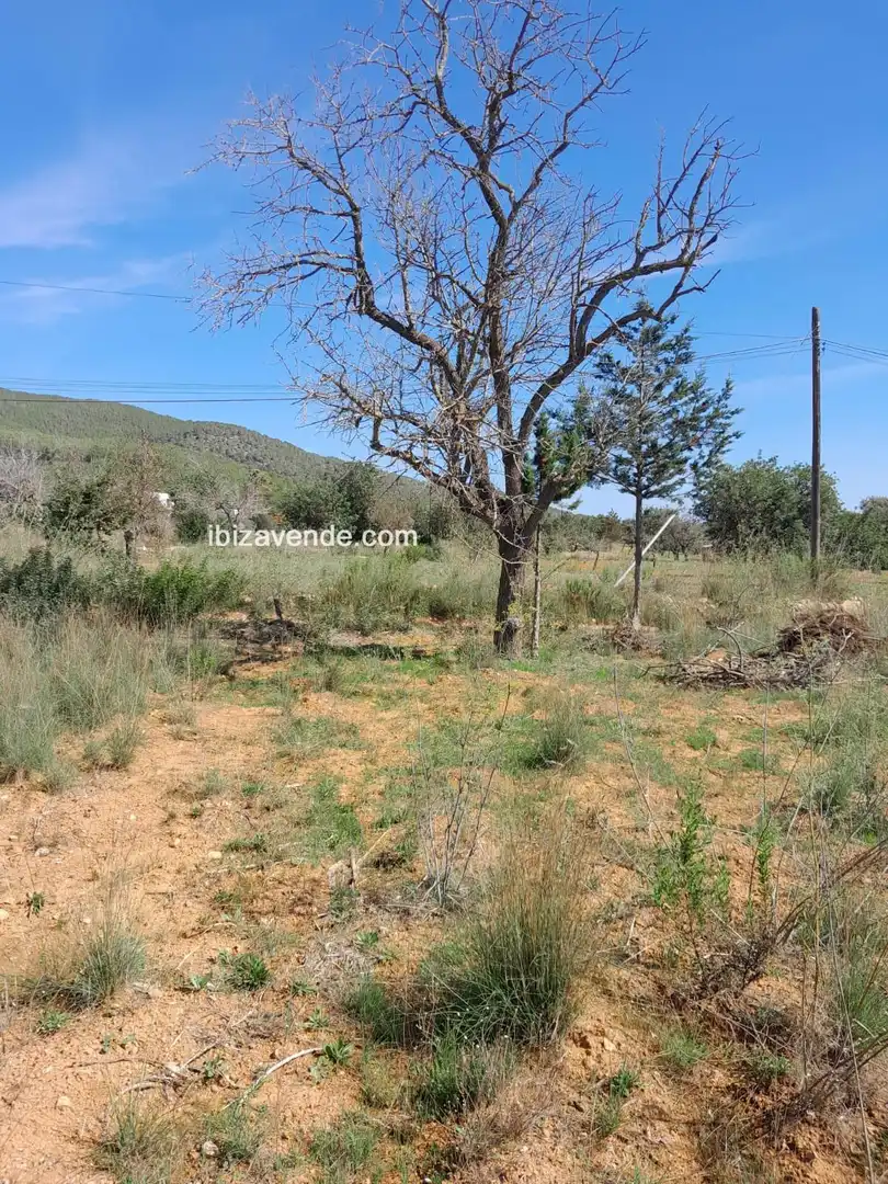 Terreno en venta en Es Canar, Sant Carles