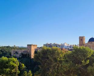 Vista exterior de Pis de lloguer en Elche / Elx amb Balcó