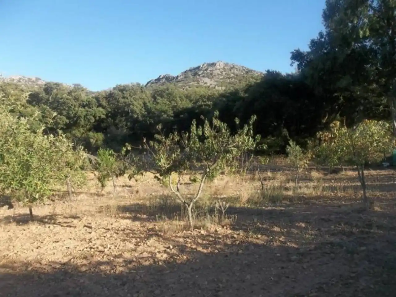 Terreno en venta en Navalvillar de Pela