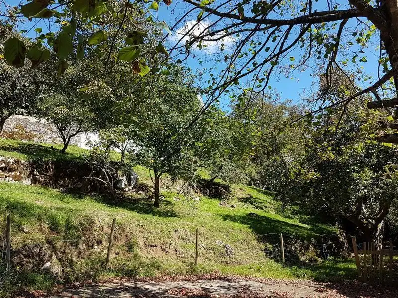 Houses for sale in Trescares, Peñamellera Alta