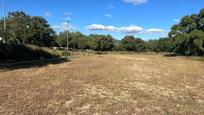 Finca rústica en venda en Alcalá de los Gazules amb Terrassa