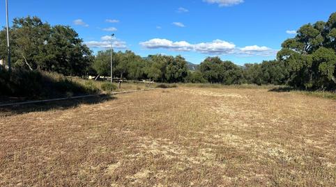 Foto 4 de Finca rústica en venta en Alcalá de los Gazules, Cádiz