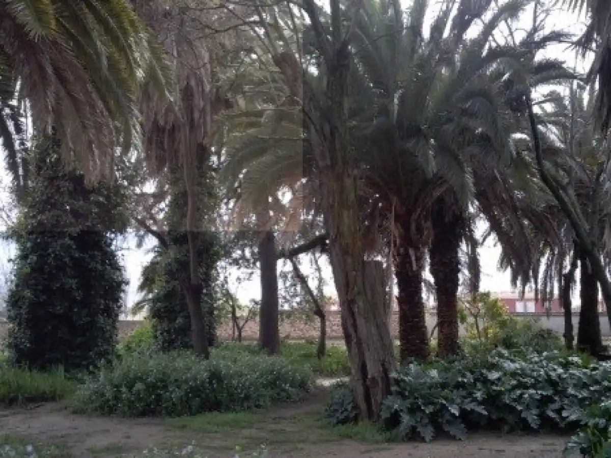 Country house zum Verkauf in Calle C/. HERRERA. PORTAL 20, 20, La Carolina