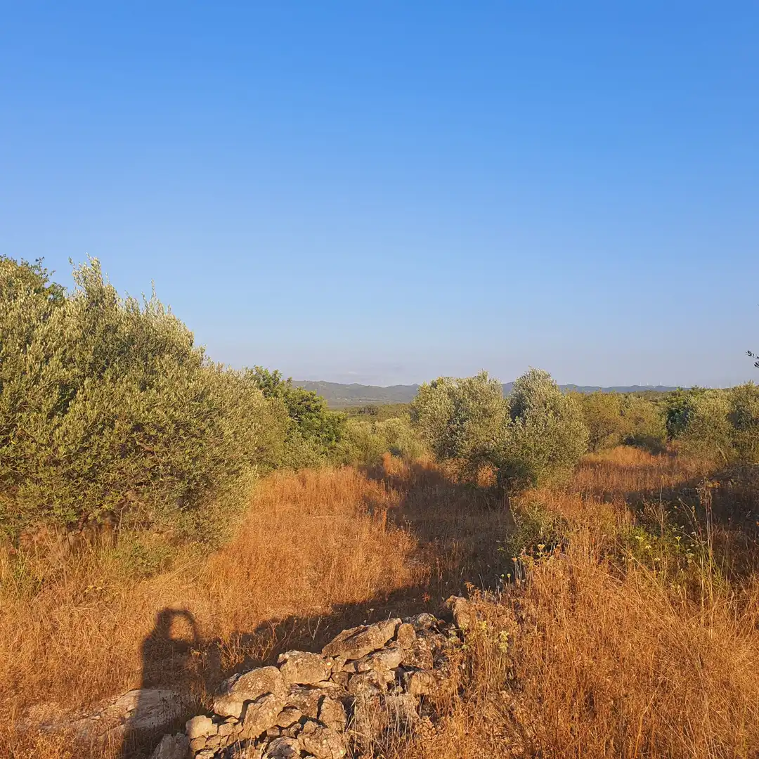House for sale in Rasquera, imagen 7