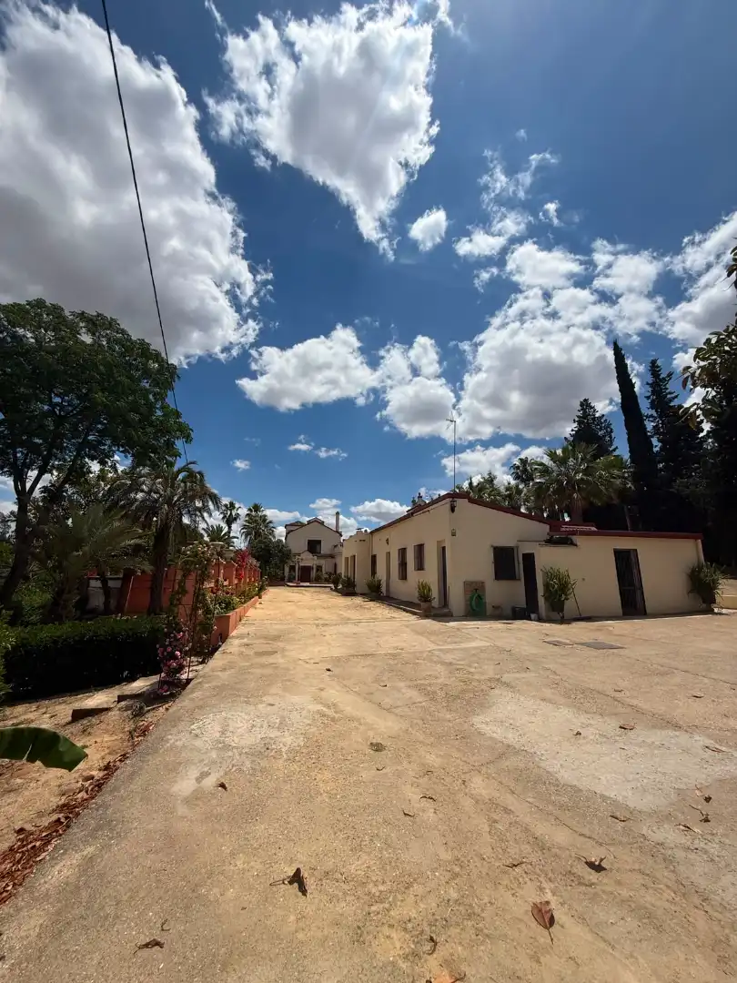 Chalet con piscina en venta en Carretera Olivares, imagen 4