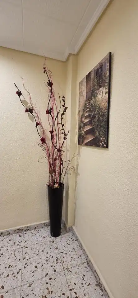 Flat for rent in Elche / Elx  with Air Conditioner, Furnished and Balcony
