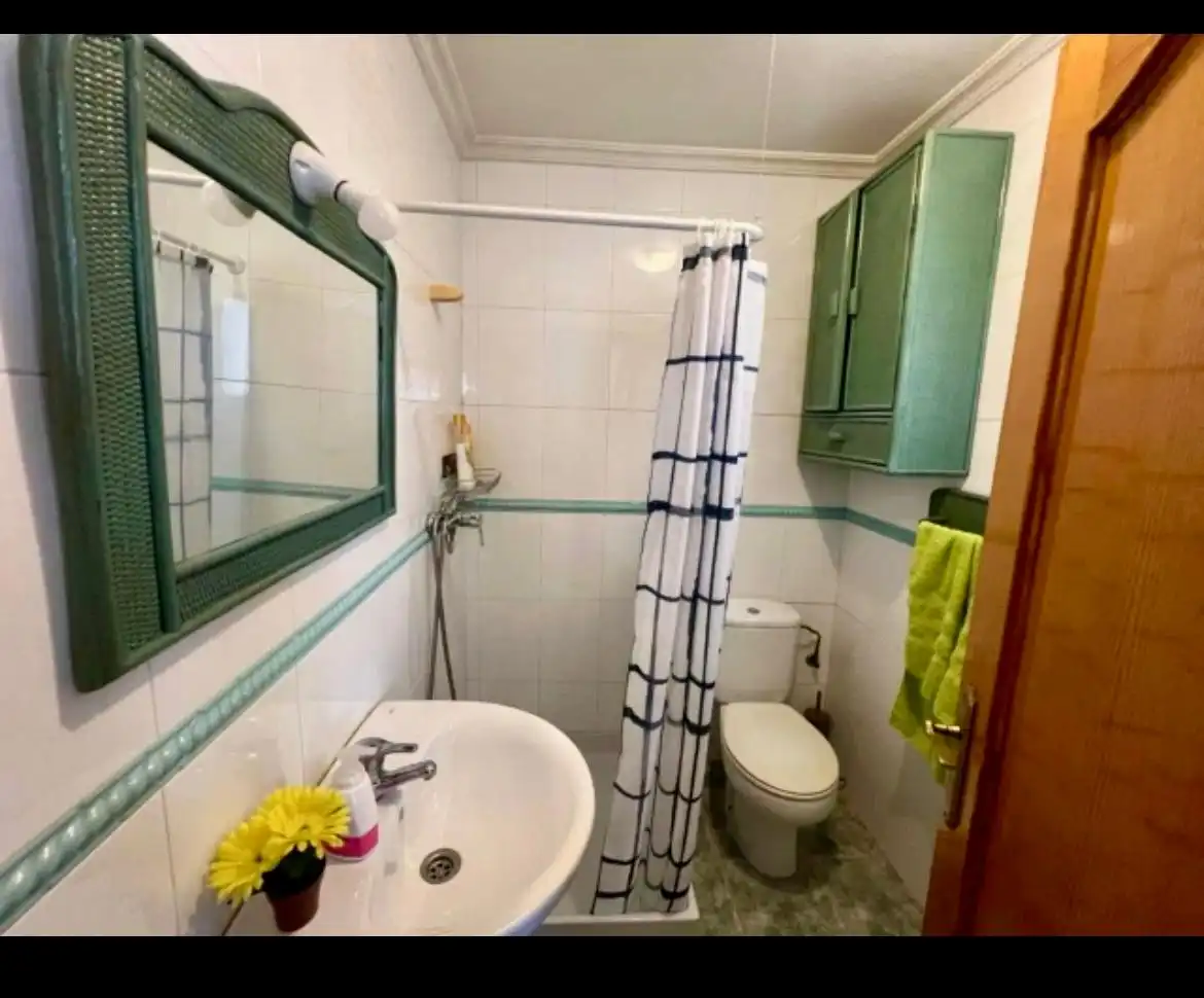 Bany de Casa o xalet en venda en Elche / Elx amb Aire condicionat, Piscina i Moblat