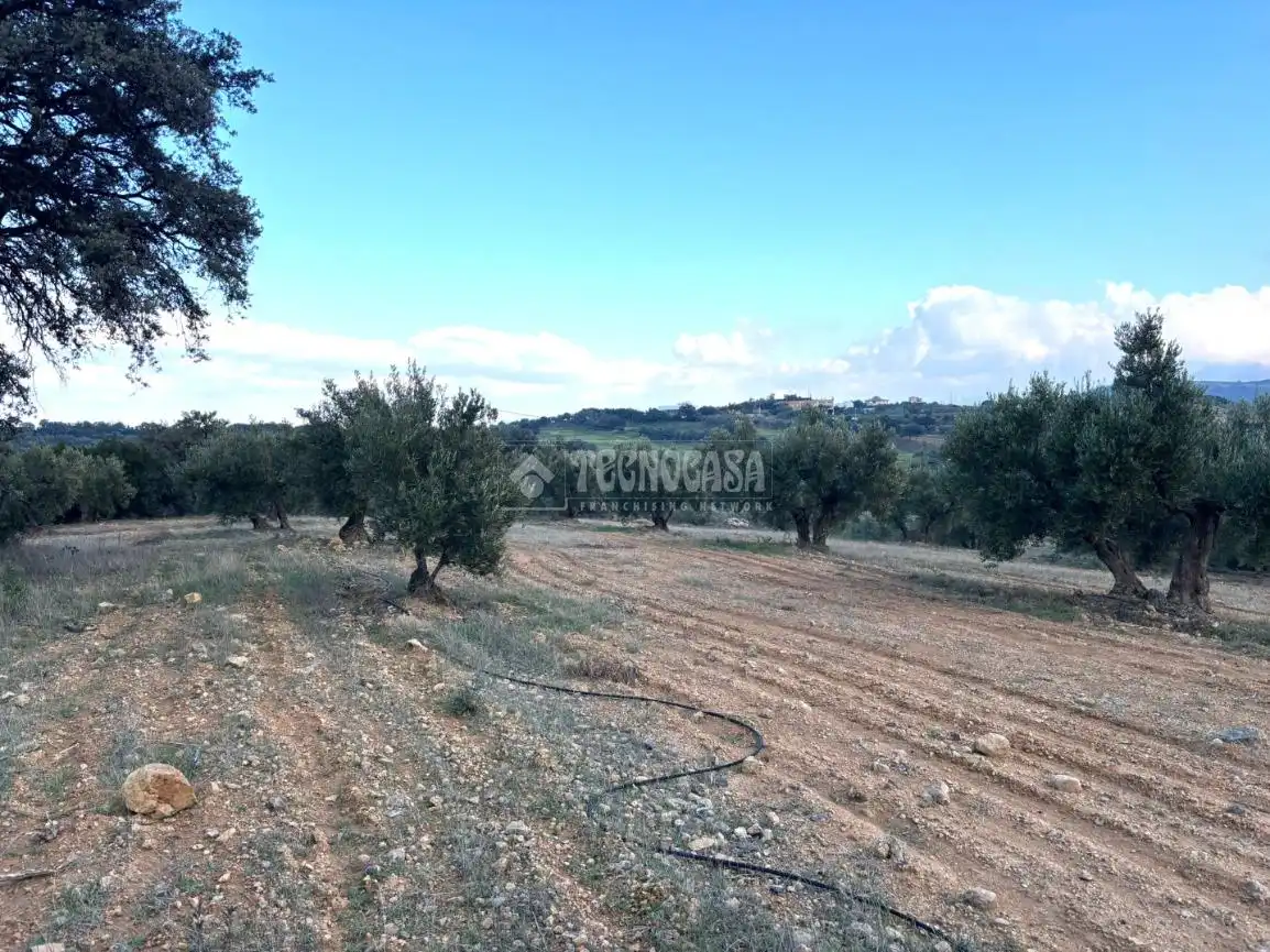 Terreni e lotti in vendita a Centro, imagen 17