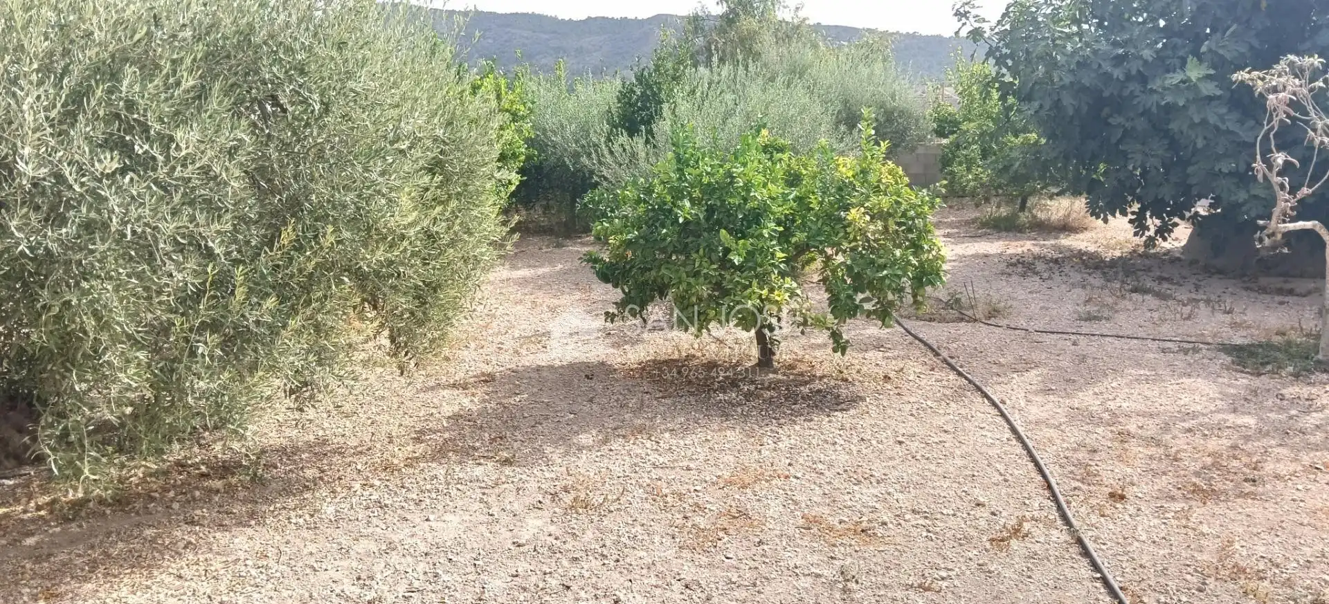 Chalet con piscina en venta en Pedanías Oeste, imagen 47