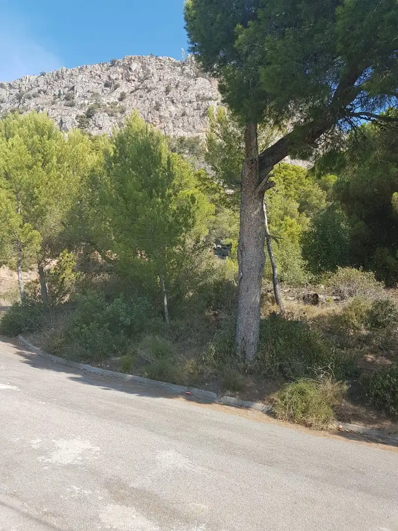 Lands and plots for sale in L'Estartit Poble, imagen 7