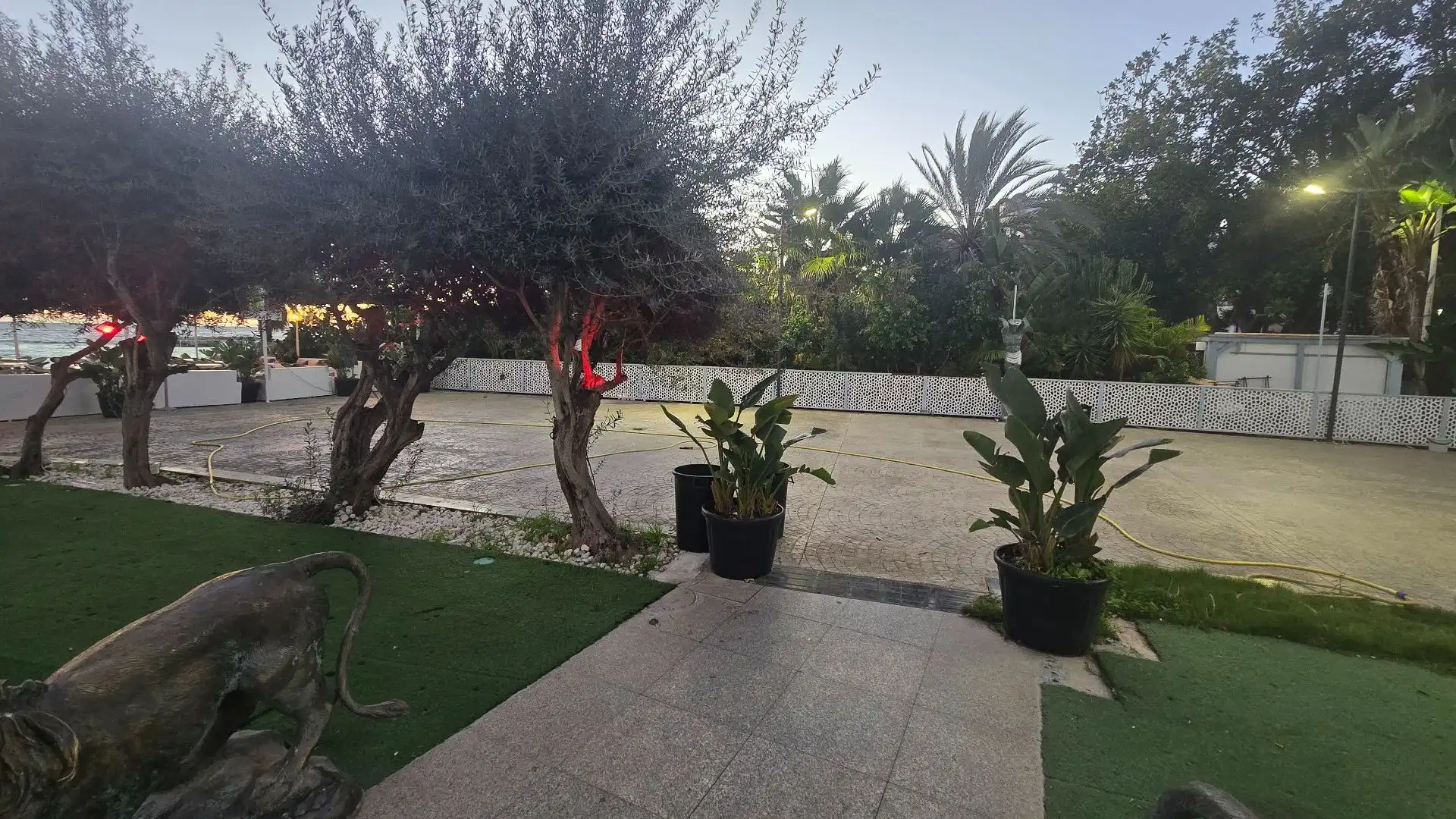 Local comercial en alquiler en Nueva Andalucía, imagen 74