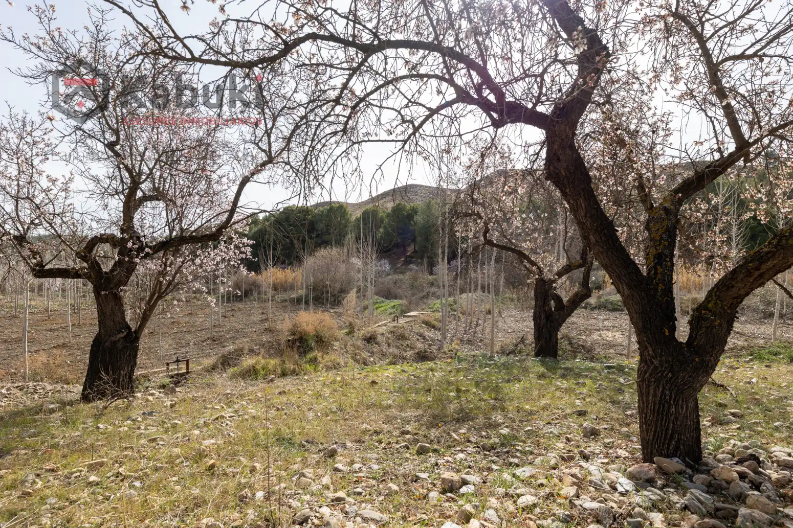 Terreni e lotti in vendita a Guadix - AUTE. VALLE DEL ZALABI, imagen 9