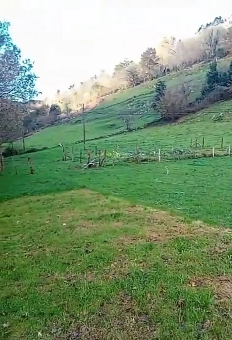 Terreny rústic en venda a Bustablado 0
