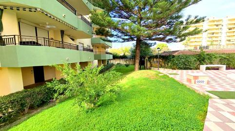 Photo 4 of Apartment to rent in Carrer Camp de Morvedre, 51, Playa de Gandia, Valencia