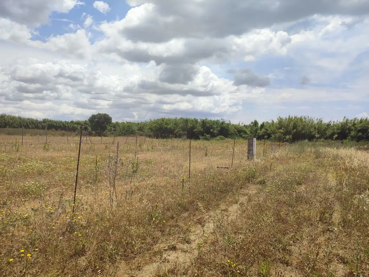 Terrenys i solars en venda a Conil, imagen 4