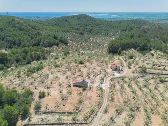 Maison rustique à vendre à El Perelló, imagen 12