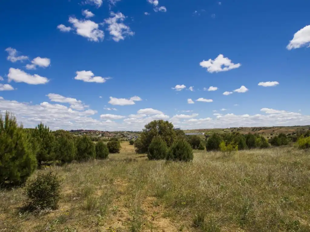 Finca rústica en venda en Navalcarnero