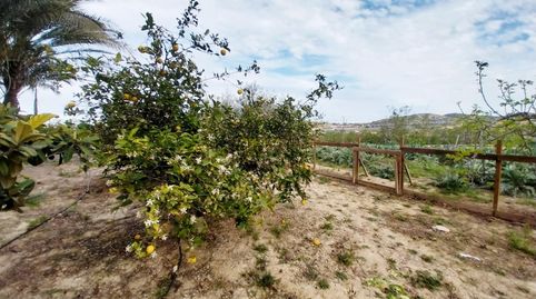 Foto 5 de Casa o chalet de alquiler en Cañada Hermosa, Murcia Capital