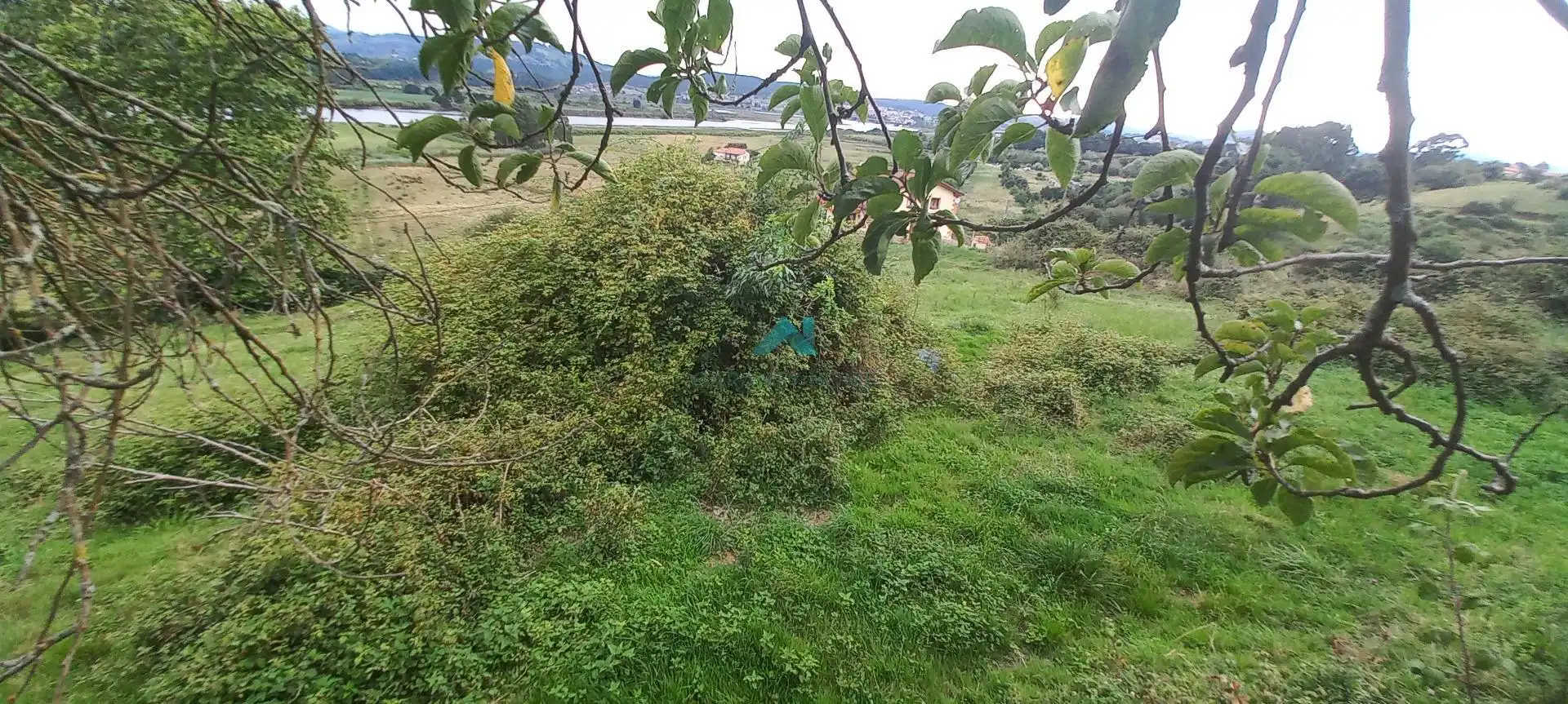 Terreno rustico in vendita a Colindres