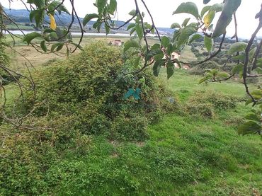 Terreno rústico en venta en Colindres