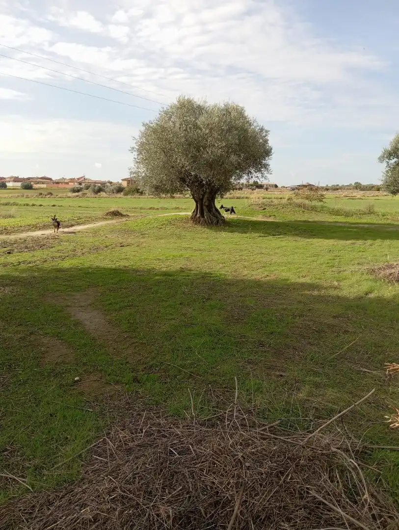Casa adosada en venda en Cedillo del Condado amb Calefacció, Jardí privat i Terrassa