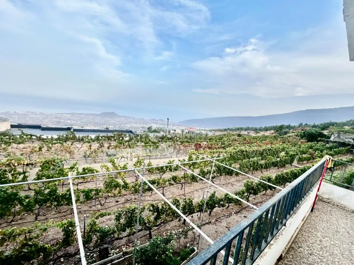 Country homes for sale in Arafo