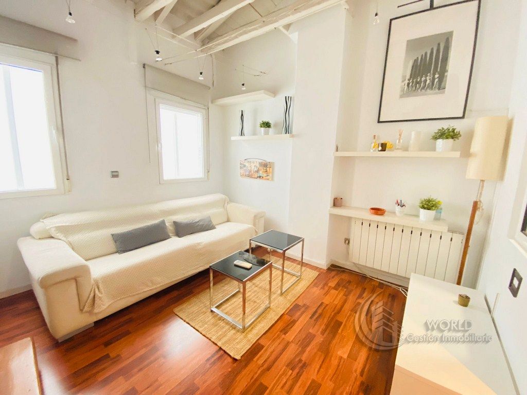 Sala d'estar de Dúplex de lloguer en  Madrid Capital amb Aire condicionat, Calefacció i Rentadora