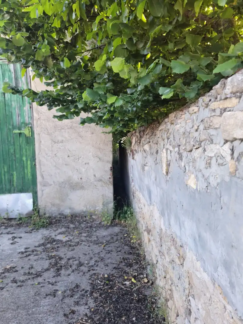 Vista exterior de Casa o xalet en venda en Pomar de Valdivia amb Traster i Moblat