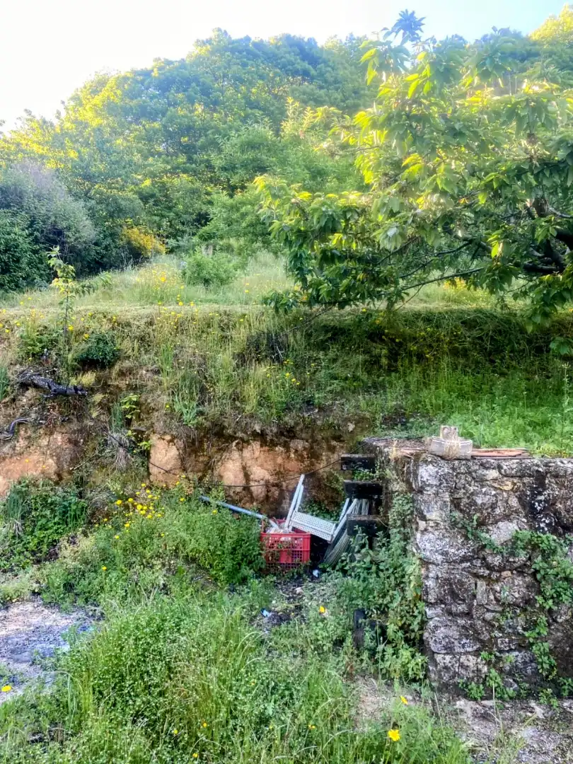 Terreni e lotti in vendita a Carretera del Camping, imagen 9