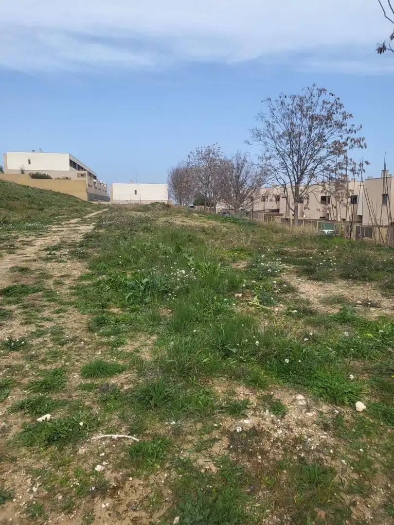 Terreni e lotti in vendita a Albaida, imagen 2