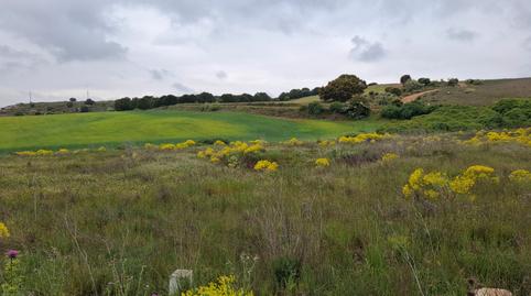 Foto 5 de Terreno en venta en La Alamedilla, Zamora