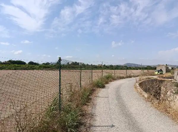 Terrain rustique à vendre à Benejúzar, imagen 4